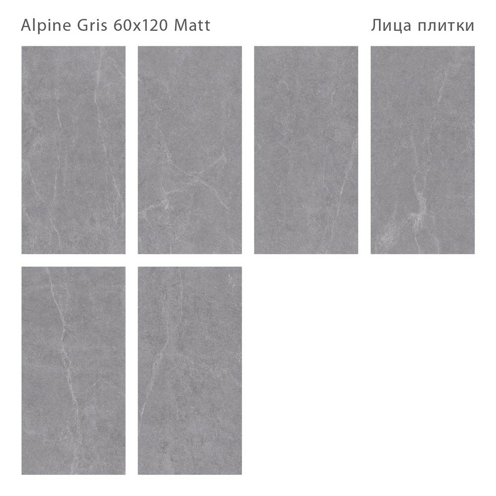 Плитка Alpine Gris 60x120 Matt серия Silk