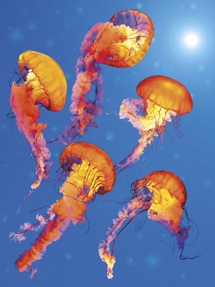 Панно 33507 серия Панно Fa Ro