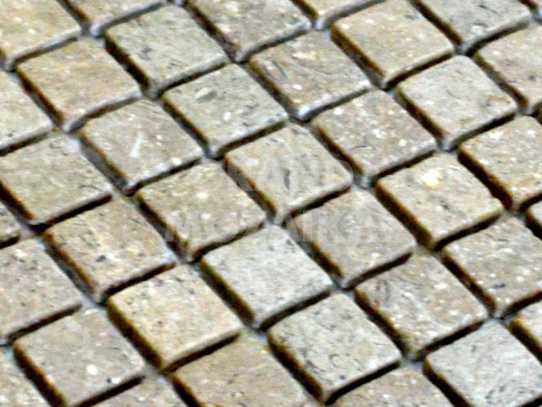 Мозаика ASS100 серия TonoStone